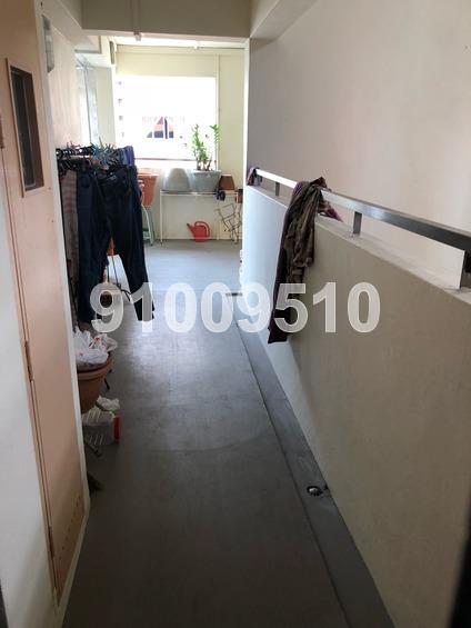 Blk 264 Bishan Street 24 (Bishan), HDB 4 Rooms #167758932